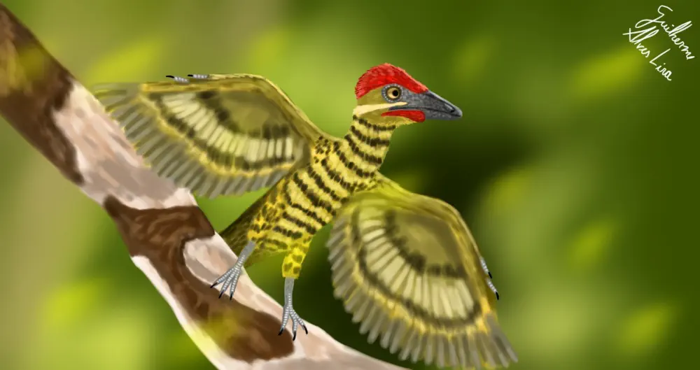 Вимерлий світ | Zhengheornis