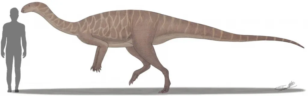 Вимерлий світ | Macrogryphosaurus Вимерлий світ | Macrogryphosaurus