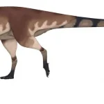 macrogryphosaurus_gondwanicus_by_gonzaleztorresdaniel_dgimbhy-pre