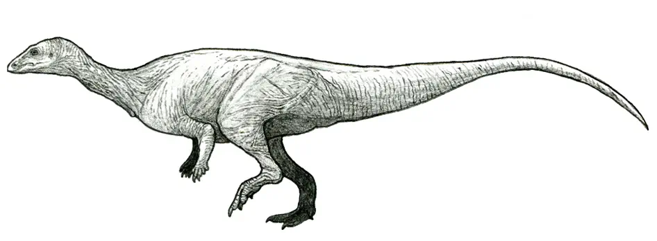 Вимерлий світ | Macrogryphosaurus Вимерлий світ | Macrogryphosaurus