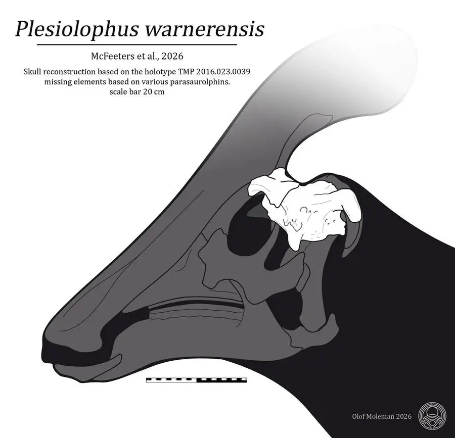 Вимерлий світ | Plesiolophus