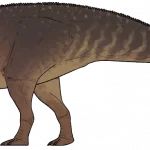 Plesiolophus_warnerensis