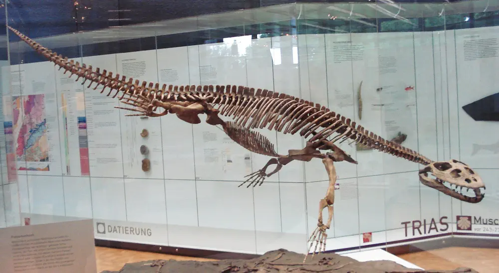 Вимерлий світ | Simosaurus
