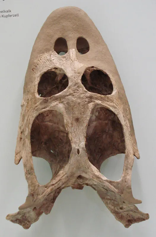 Вимерлий світ | Simosaurus