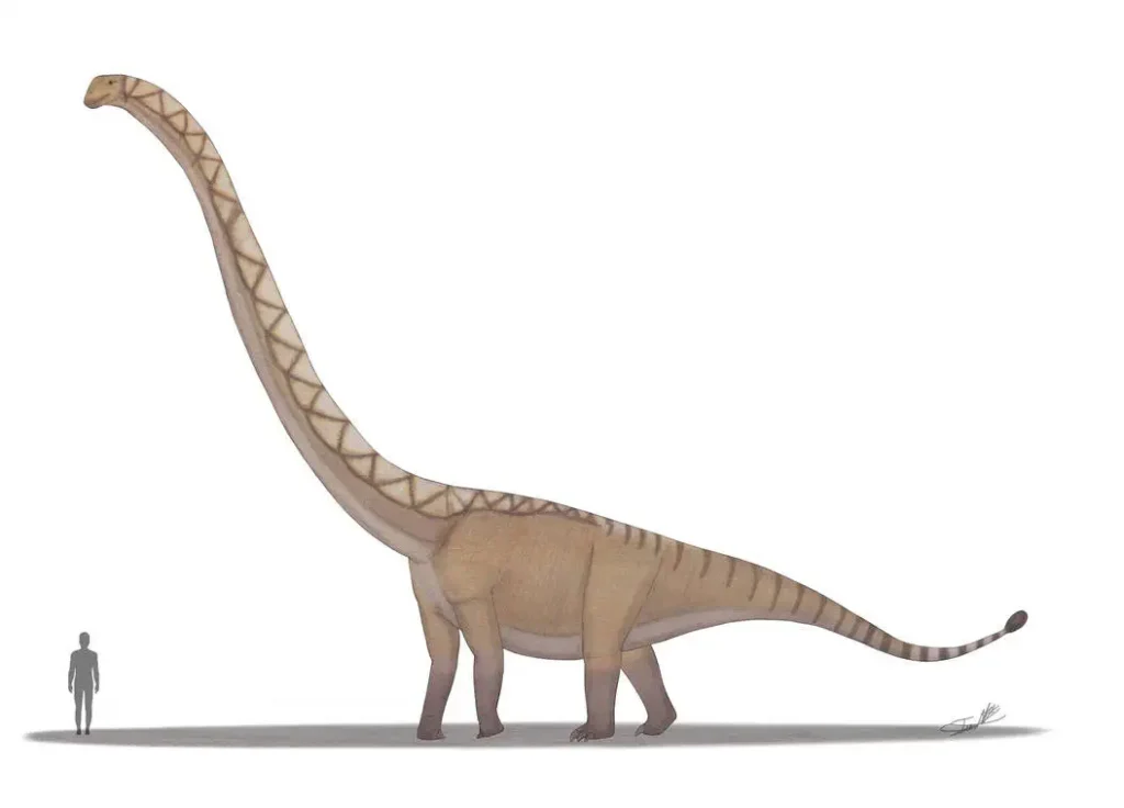 Вимерлий світ | Uragasaurus Вимерлий світ | Uragasaurus