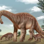 image_14914e-Mesetasaurus-protector