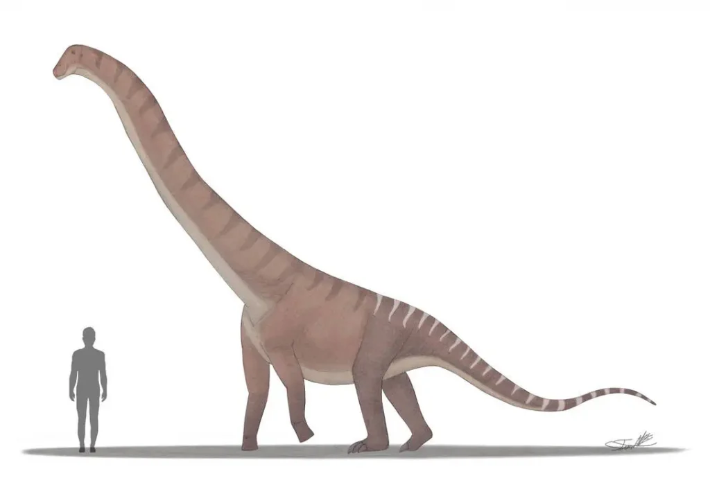 Вимерлий світ | Mesetasaurus Вимерлий світ | Mesetasaurus
