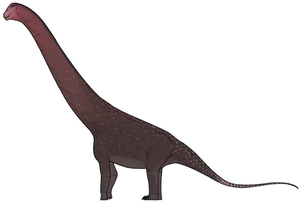 Вимерлий світ | Mesetasaurus Вимерлий світ | Mesetasaurus