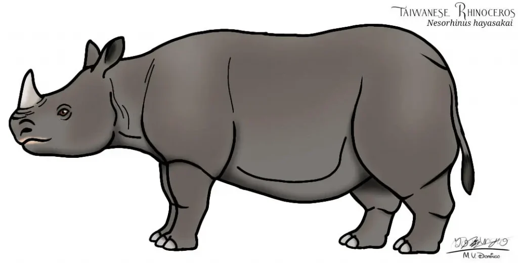 Вимерлий світ | Nesorhinus