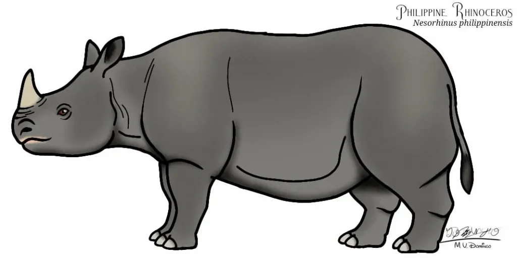 Вимерлий світ | Nesorhinus