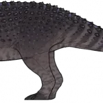 Nipponopelta_yezoensis