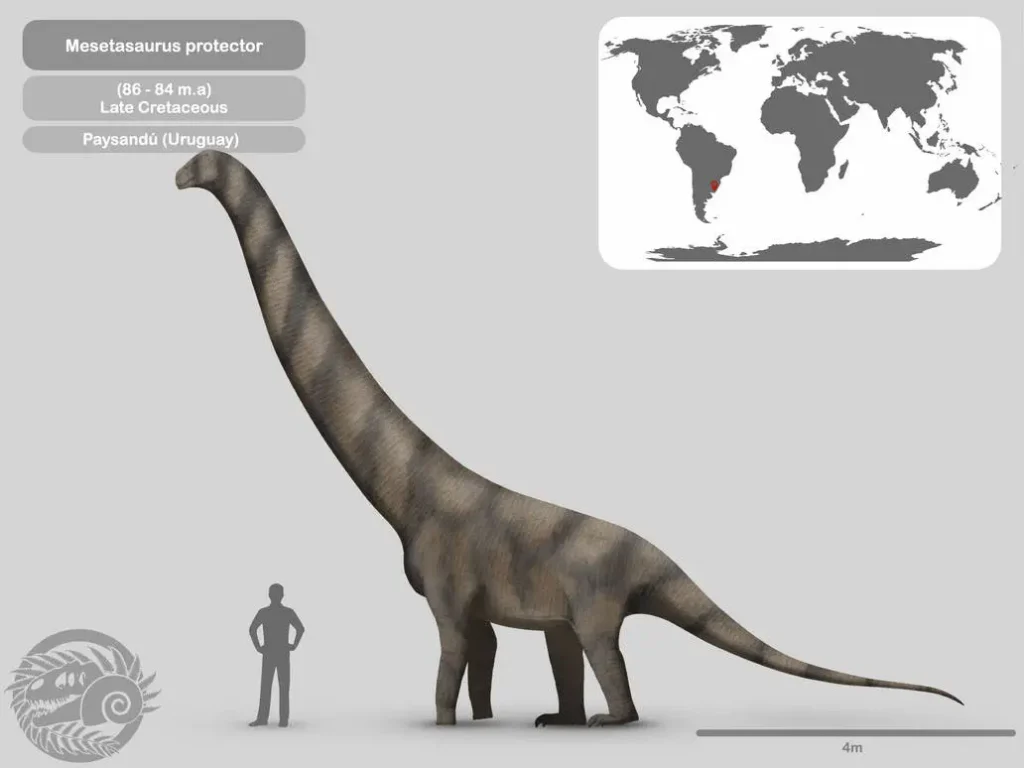 Вимерлий світ | Mesetasaurus Вимерлий світ | Mesetasaurus