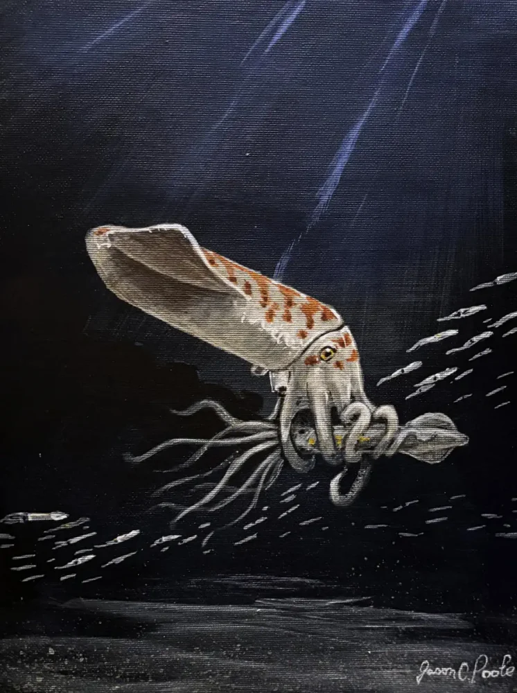 Вимерлий світ | Wyoteuthis Wyoteuthis