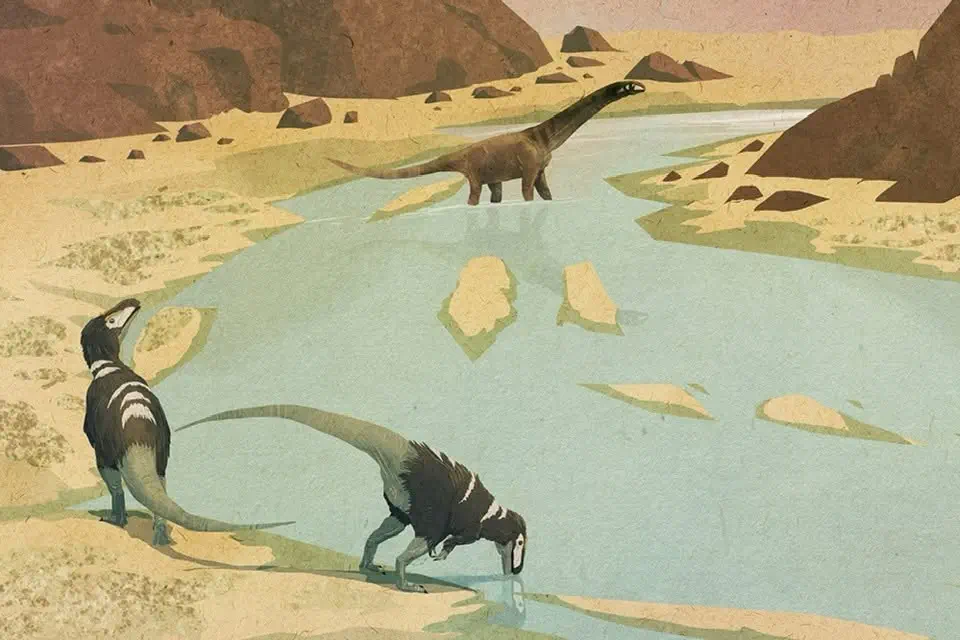 Condorraptor
