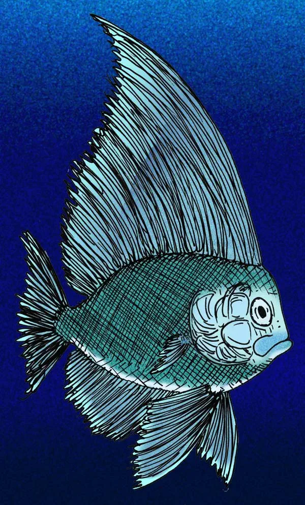 Absalomichthys