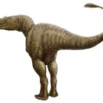 Condorraptor