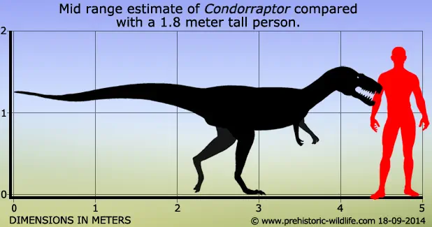 Condorraptor