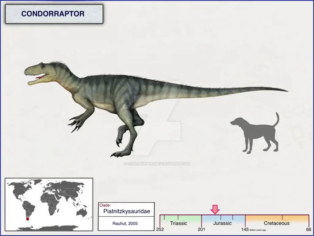 Condorraptor