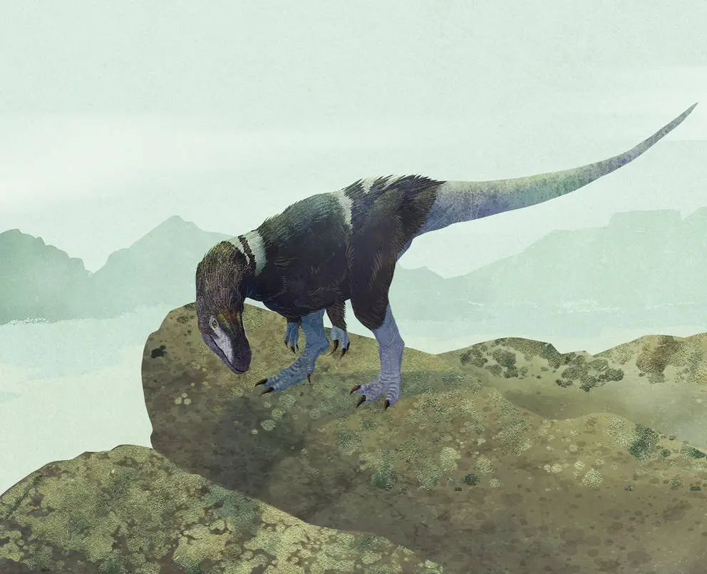 Condorraptor