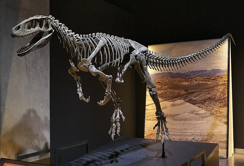 Condorraptor