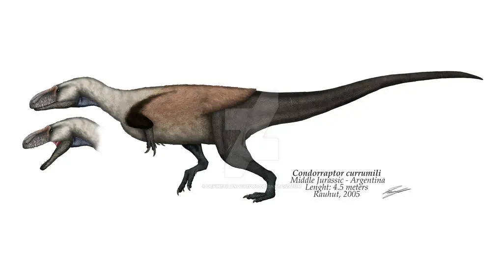 Condorraptor