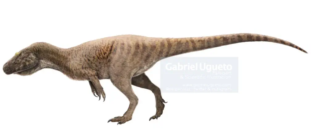 Condorraptor