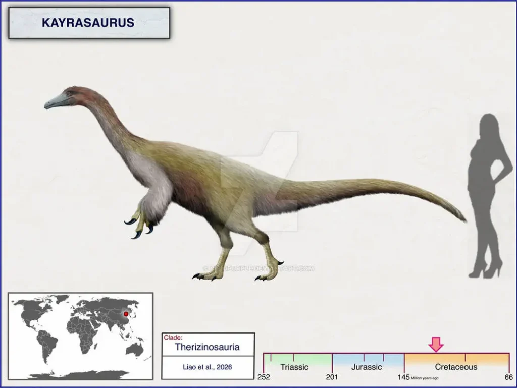 Kayrasaurus