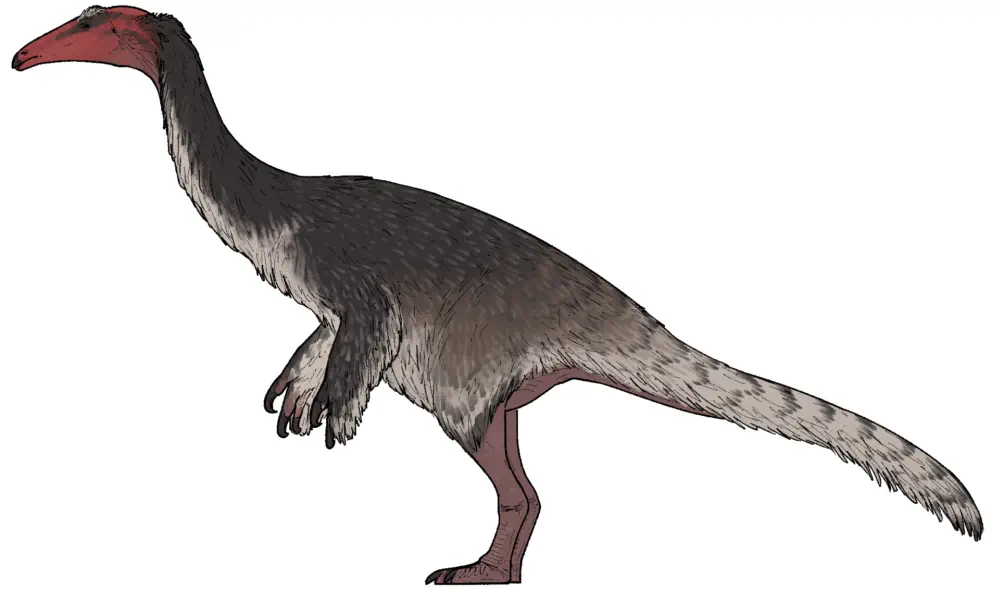Kayrasaurus