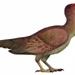 Kunpengornis_TD