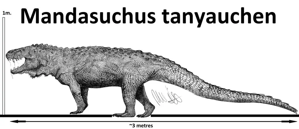 Вимерлий світ | Mandasuchus Mandasuchus
