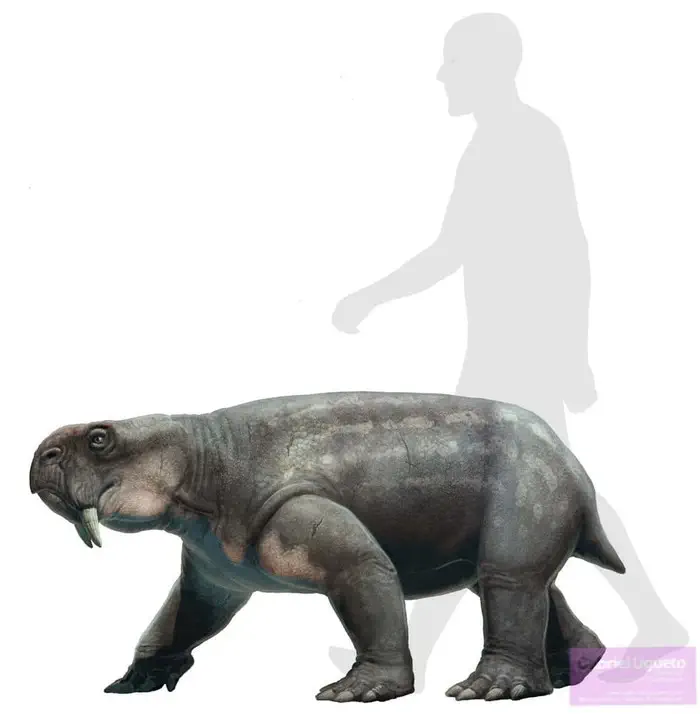 Вимерлий світ | Dinodontosaurus Dinodontosaurus tener