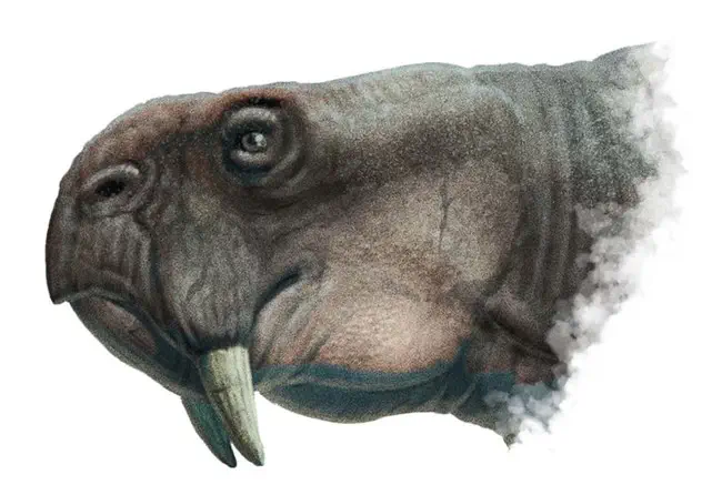 Вимерлий світ | Dinodontosaurus Dinodontosaurus tener
