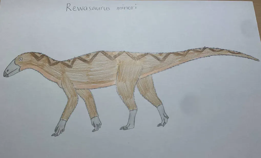 Rewasaurus minori