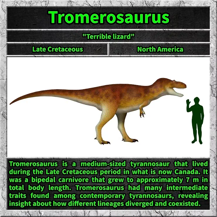 Tromerosaurus