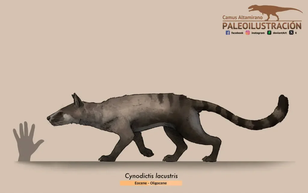 Cynodictis