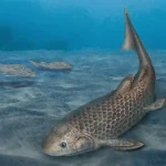 Dianodipterus_huizeensis-novataxa_2022-Luo_Cui__Zhu