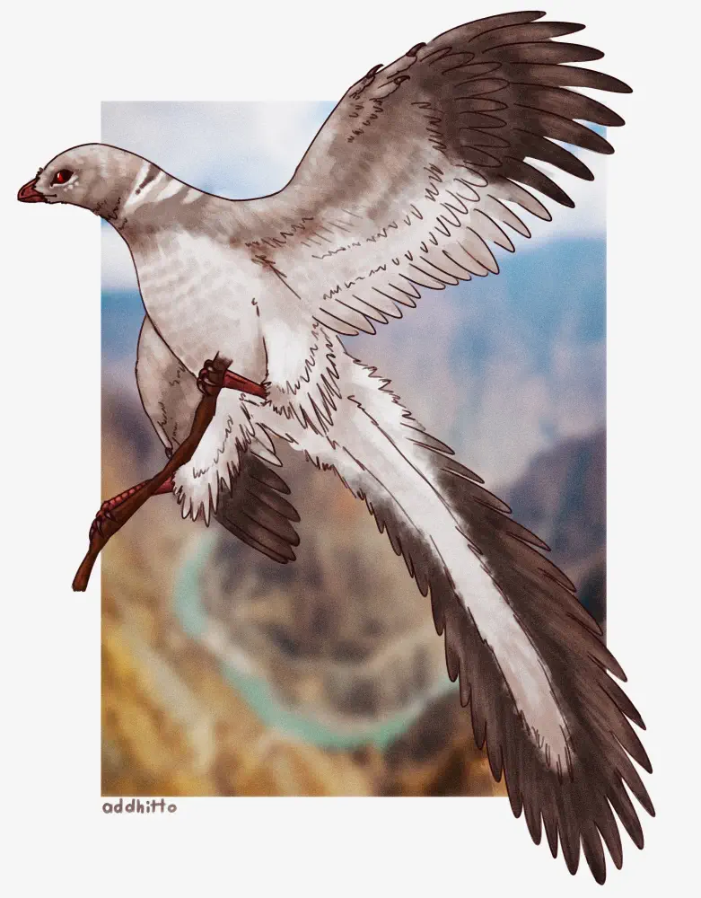 Yuezhuornis