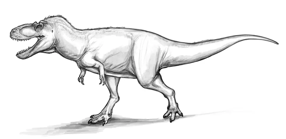 Tromerosaurus