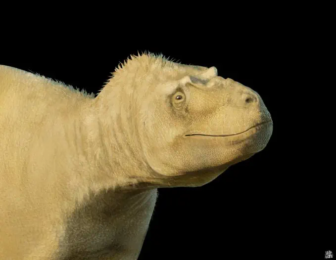 Tromerosaurus