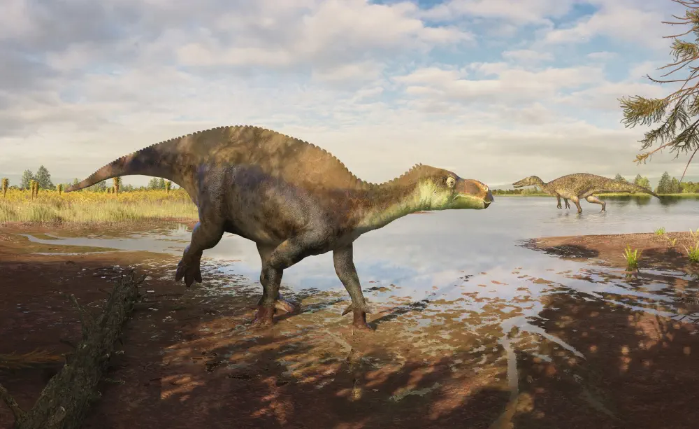 Paludohadros та Baryonyx