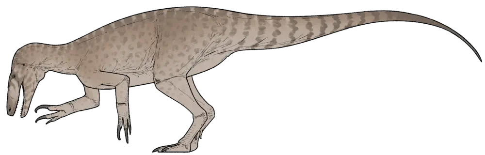 Rinconraptor