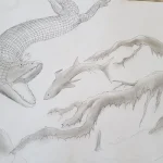 tantallognathus_by_corallianassa_dchhkju-fullview