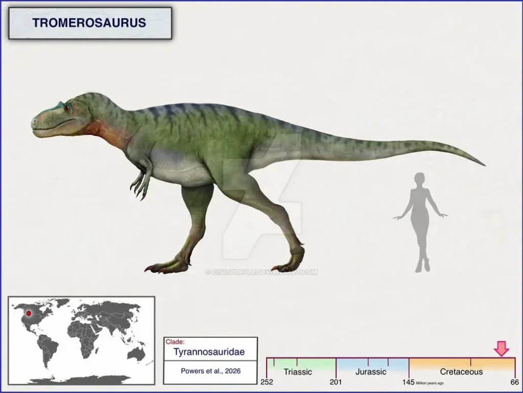 Tromerosaurus
