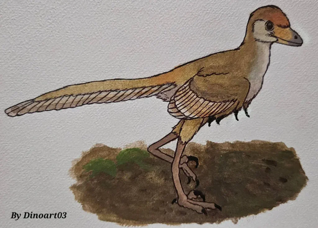 Yuezhuornis