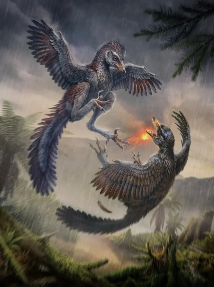 Yuezhuornis